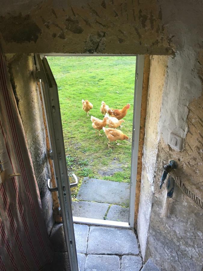 Gites Le Vieux Vinzelles Volvic Eksteriør billede